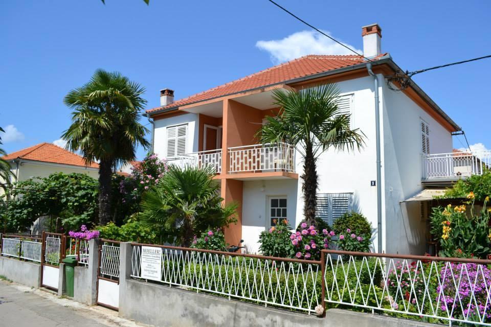 Great Apartment Katarina Zadar Værelse billede